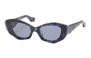 Blue Tortoise